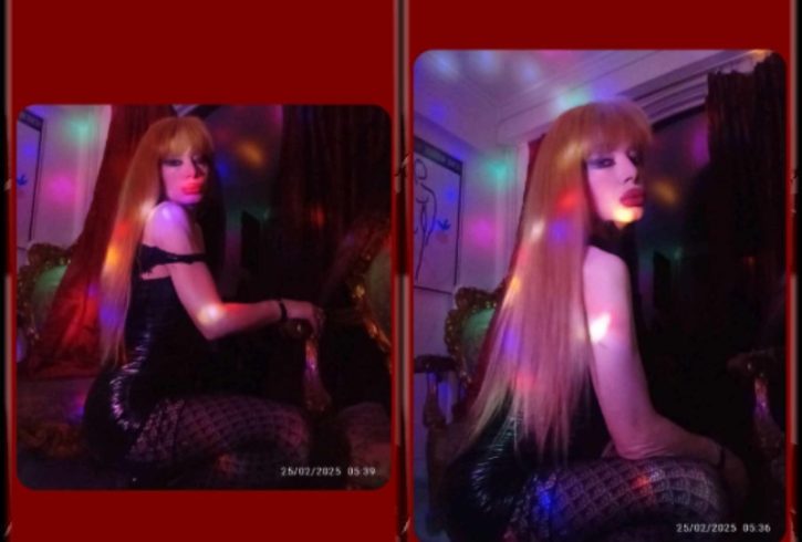pixiz-25-02-2025-19_45_34
