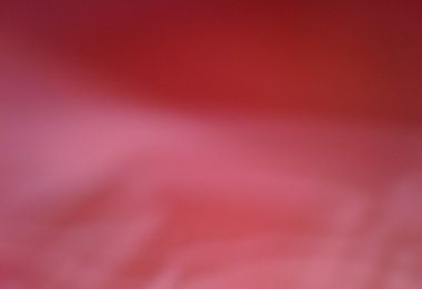 IMG_0046